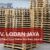 Jual Beli Palet Kayu Bekas dan Baru Jakarta